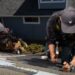 Roofing Repairs Near Me: Fix Leaks, Damage, and More – Repairmen